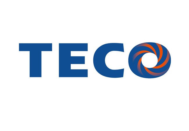 Taiwan's TECO Electric and Machinery